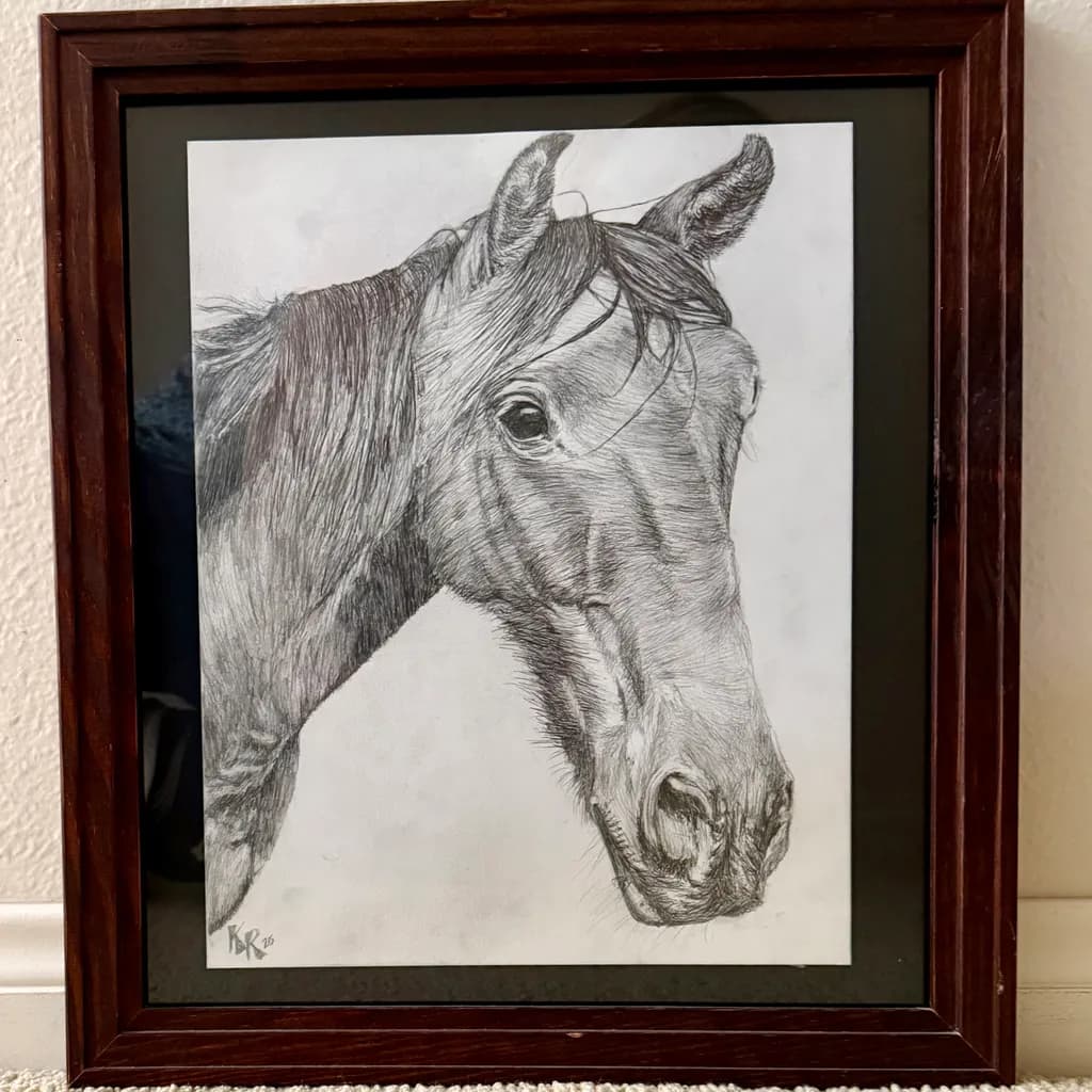 Horse Portrait