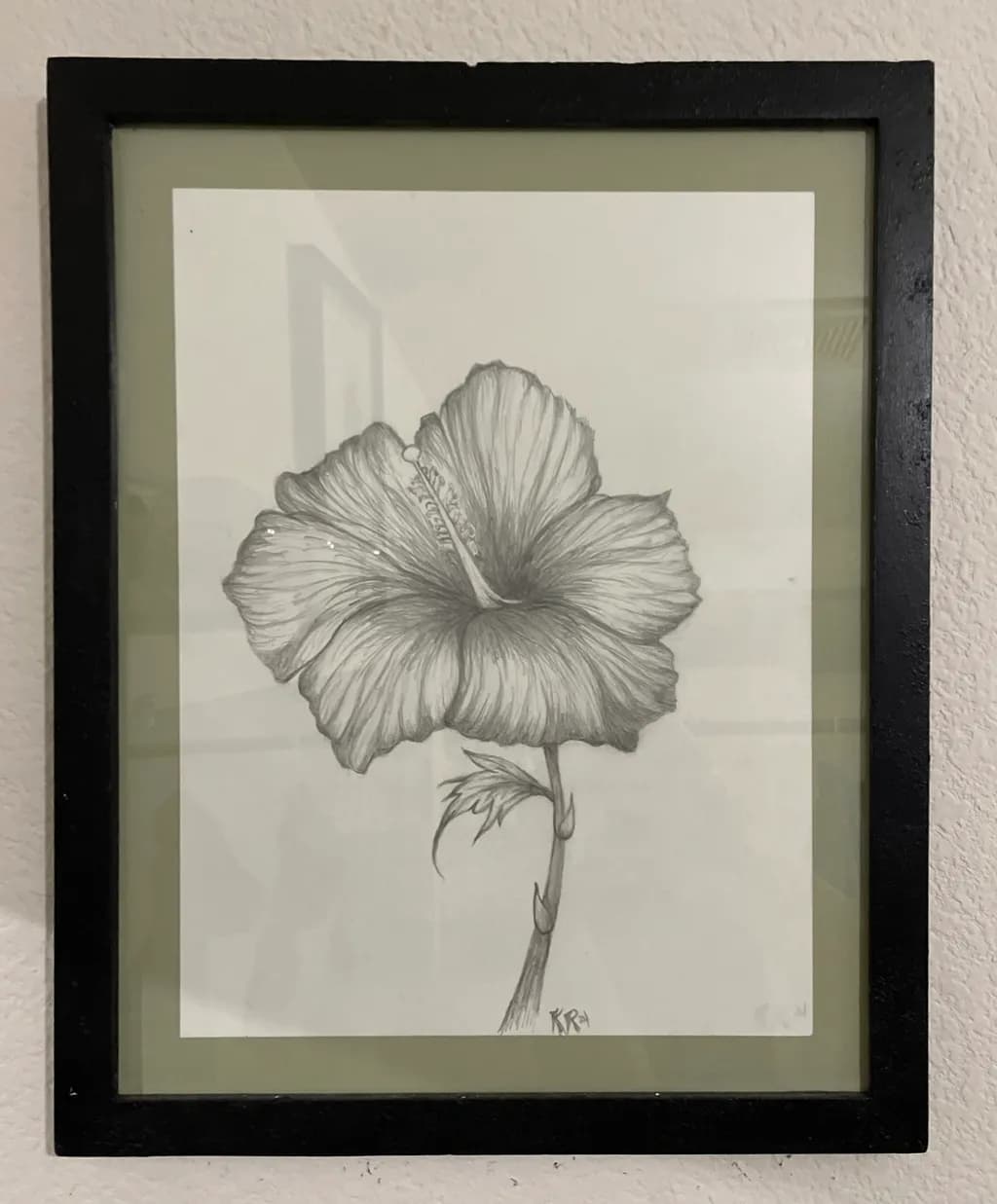 Hibiscus Bloom