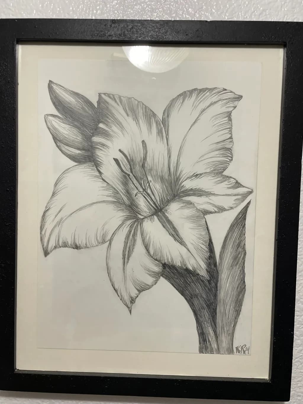 Lily Blossom