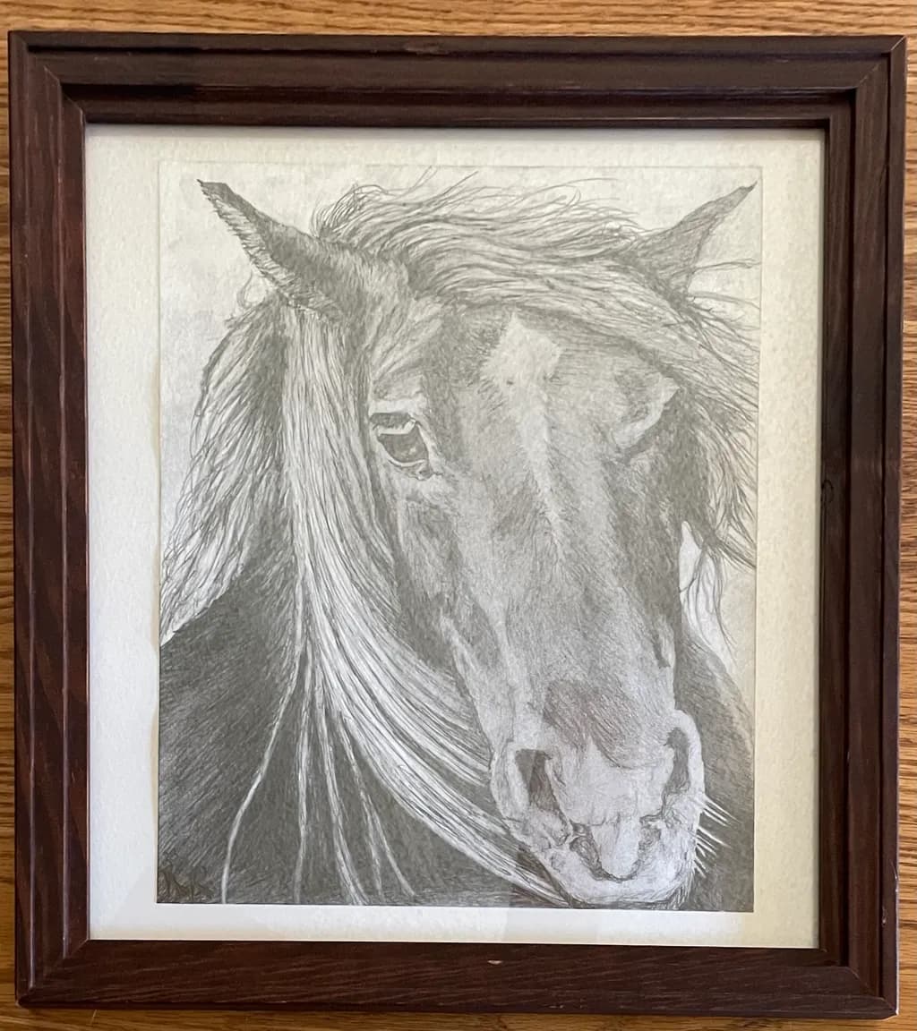 Horse Portrait