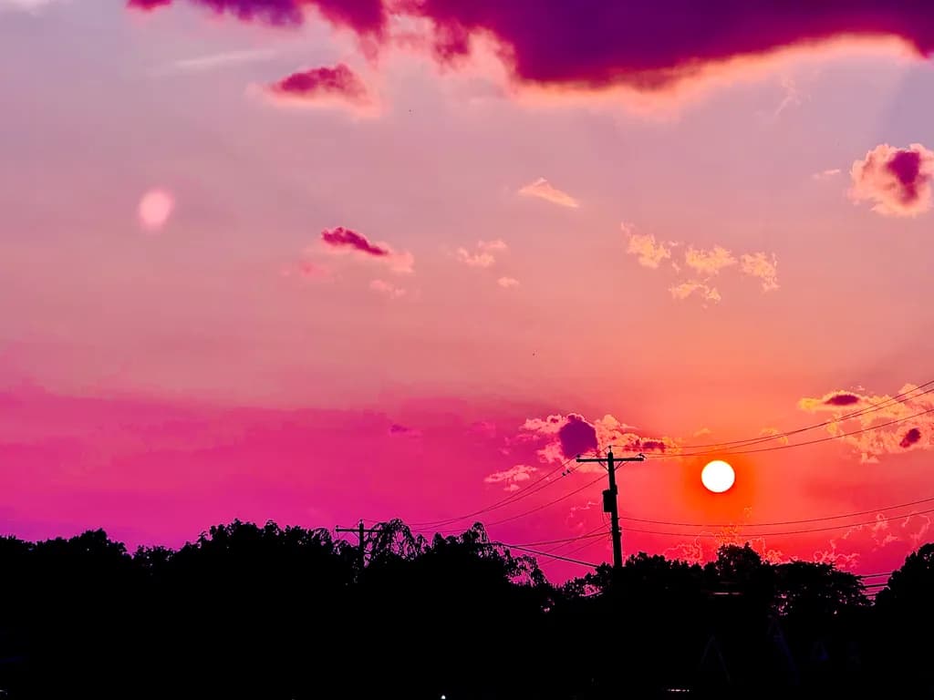 Sunset Over Trees