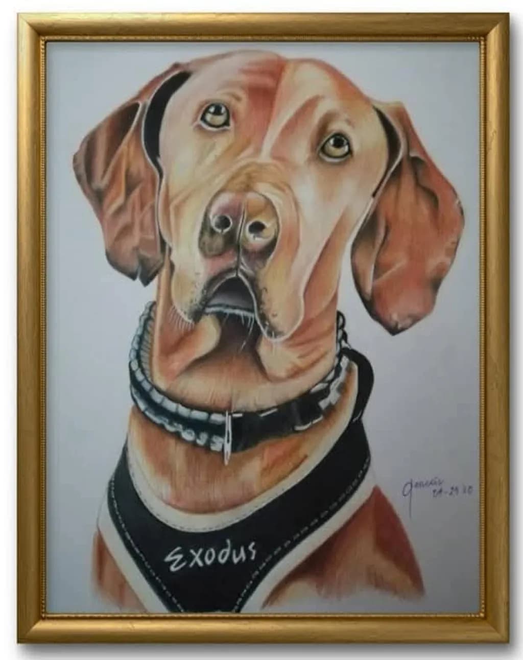 Exodus Dog Portrait
