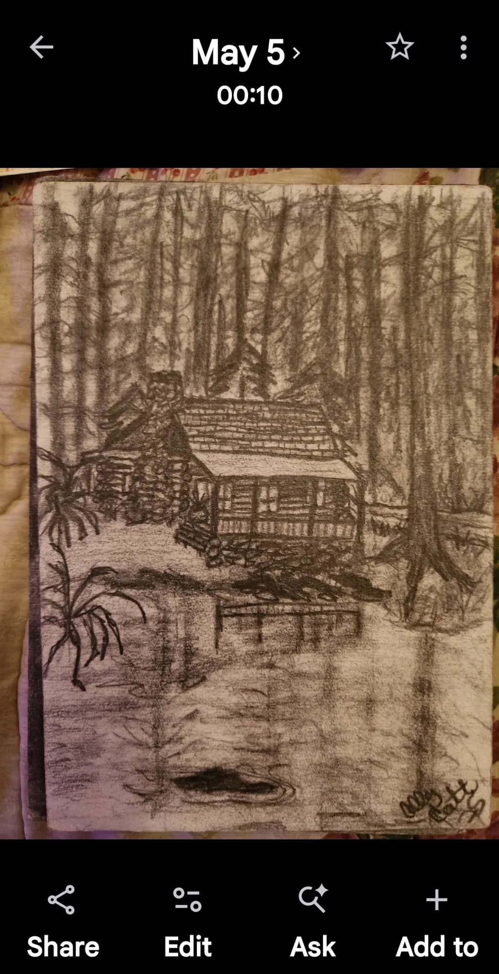Cabin in Forest