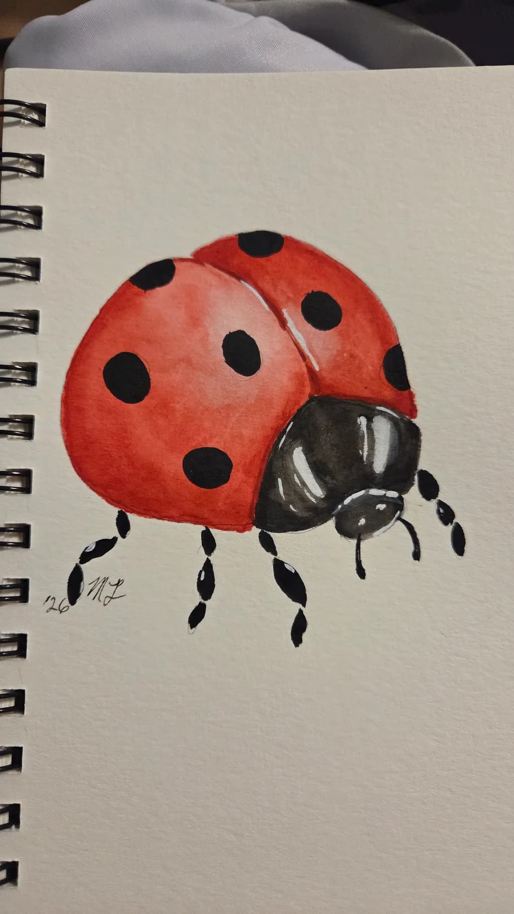Ladybug Close-Up