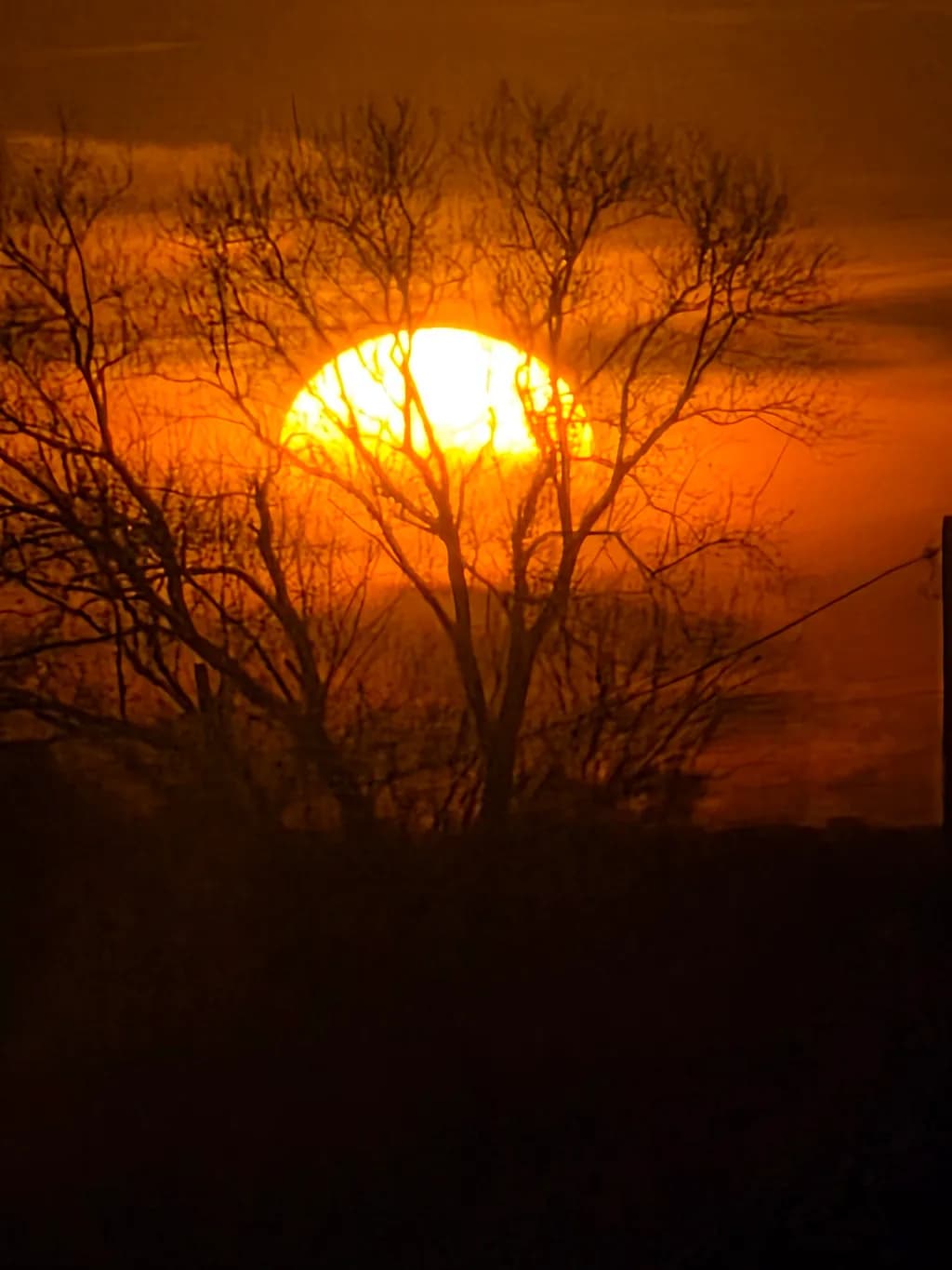 Sunset Through Trees