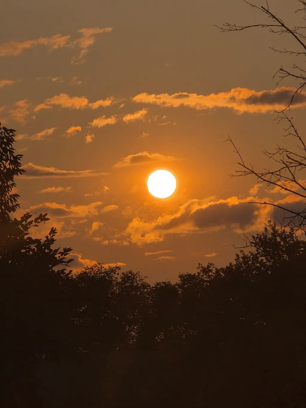Sunset Over Trees