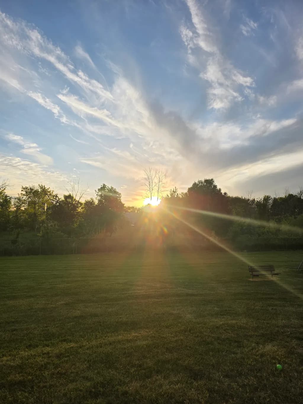 Sunset Over Trees and Field