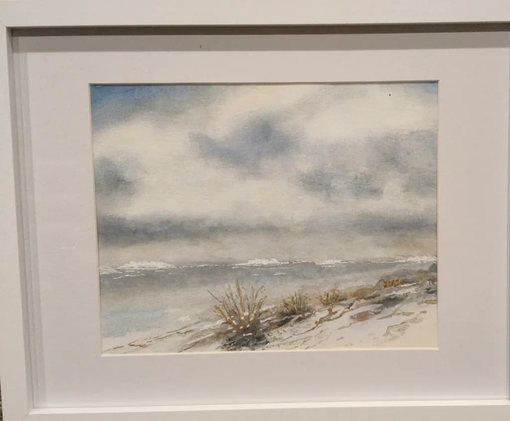 Cloudy Beach Dunes