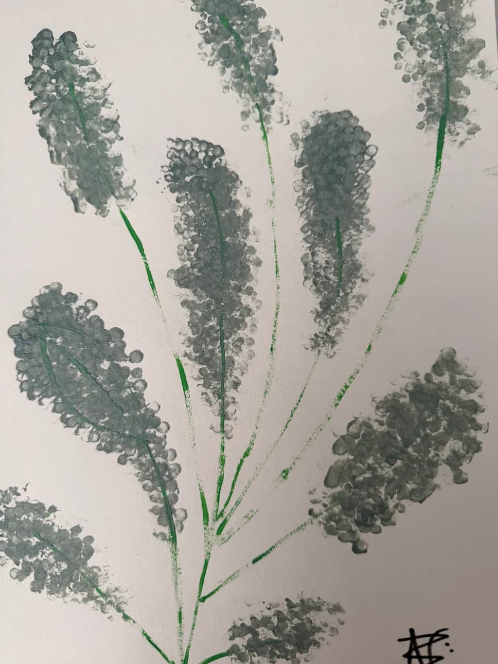 Lavender Stems