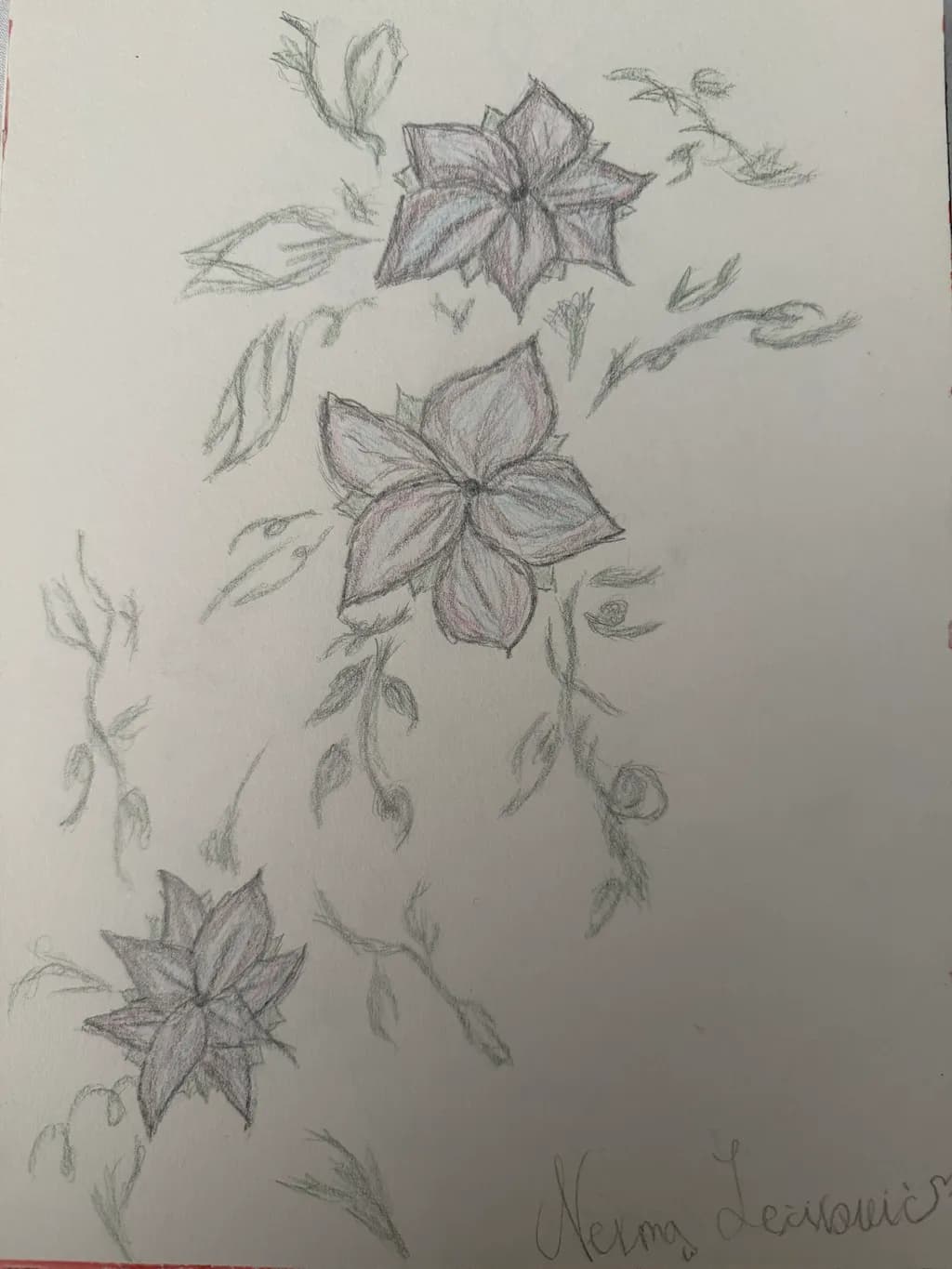 Pencil Flower Sketch