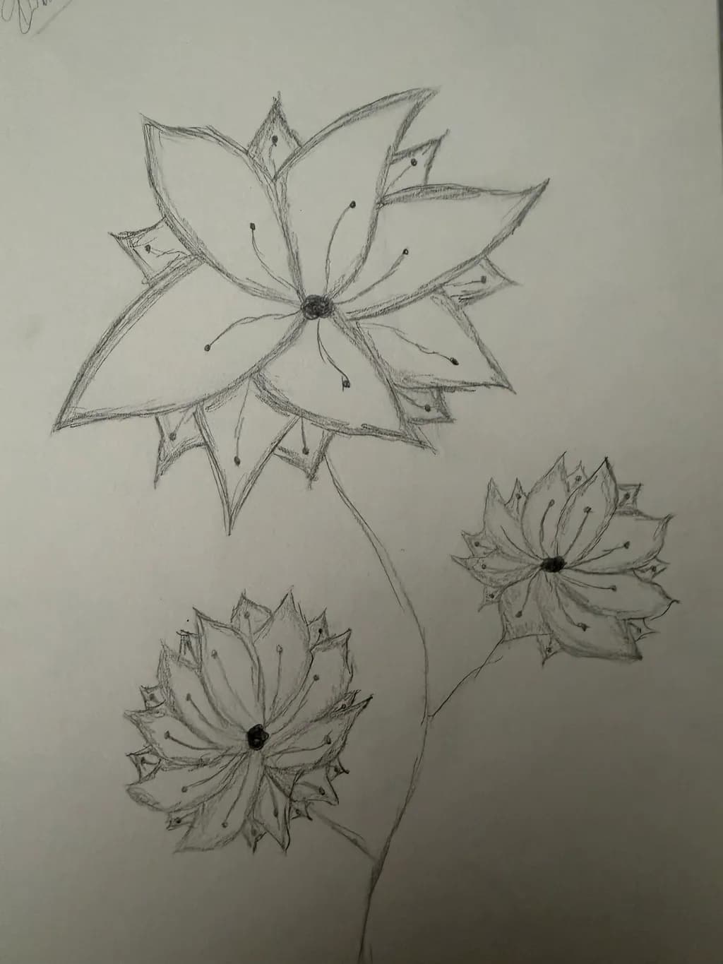 Monochrome Flower Trio