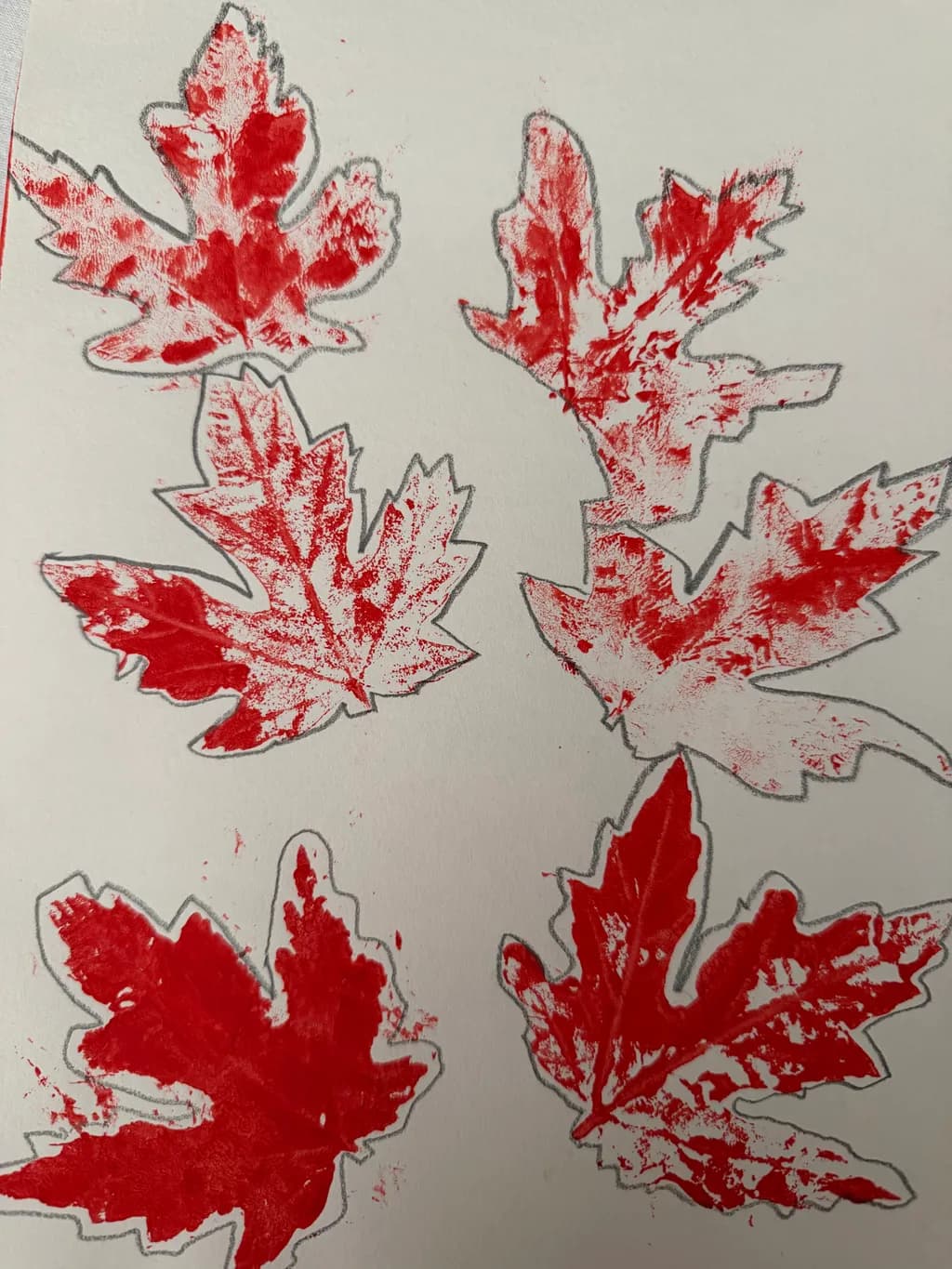 Red Maple Leaves