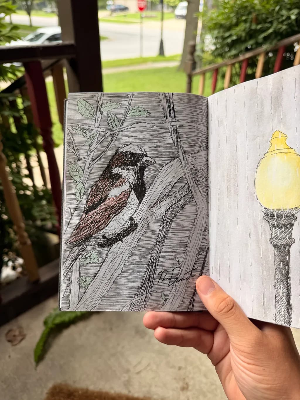 Bird on Branch