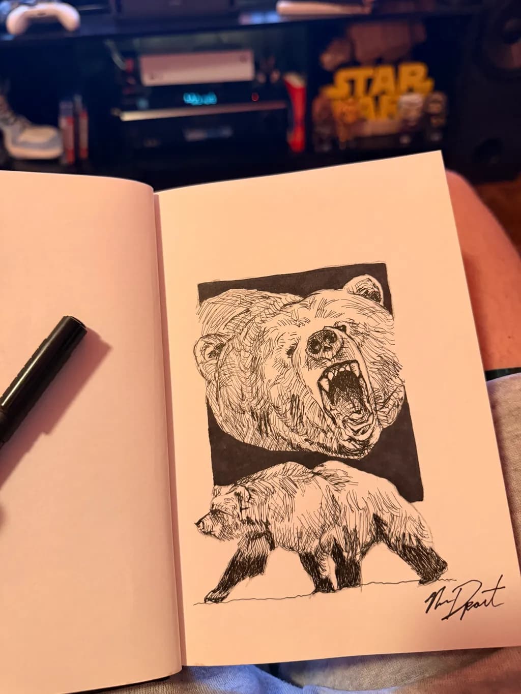 Roaring Bear Contrast
