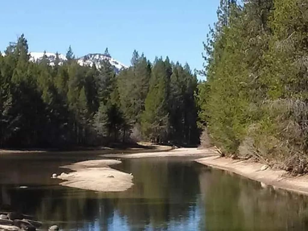 Forest River Reflection