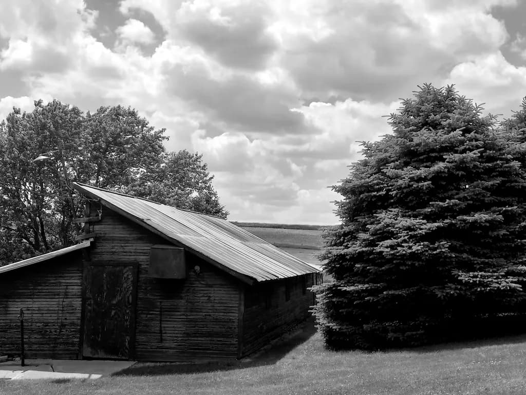Rustic Cabin Landscape
