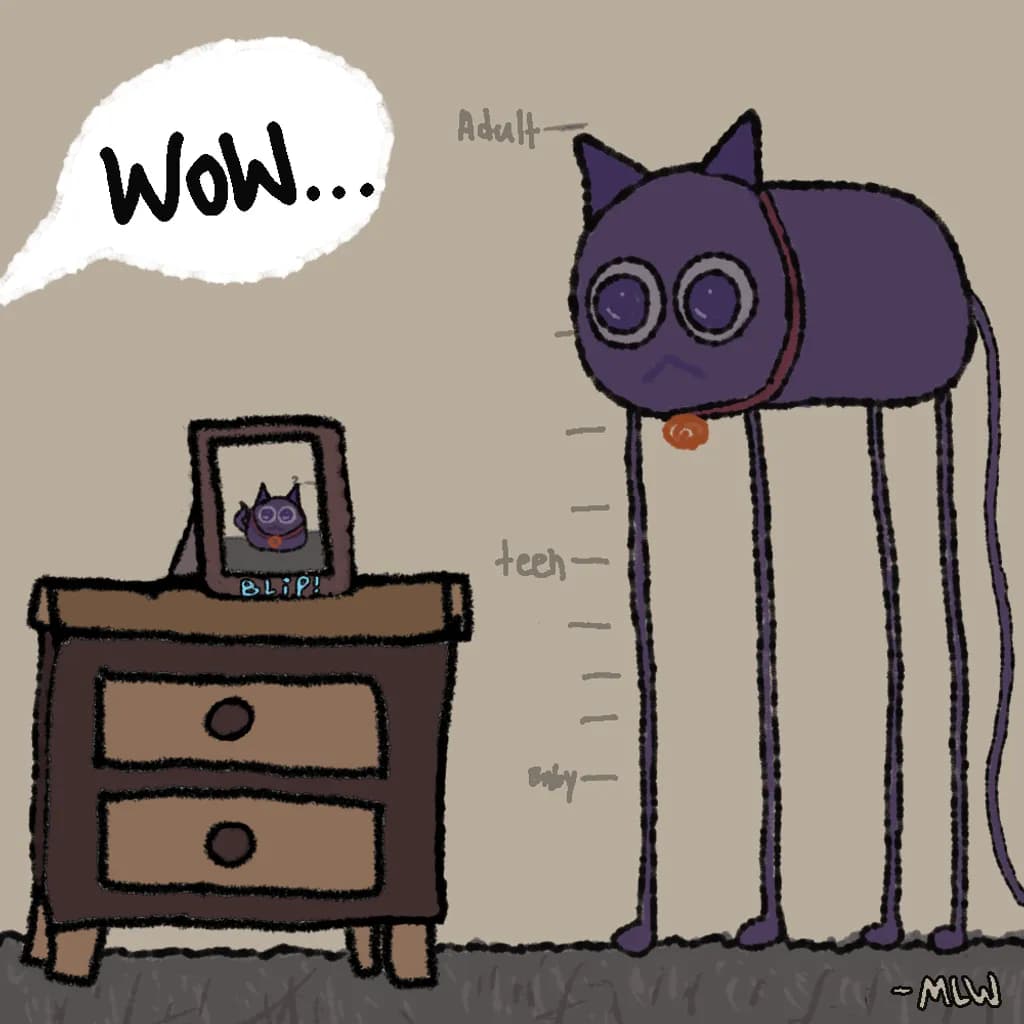 Tall Cat Growth Chart