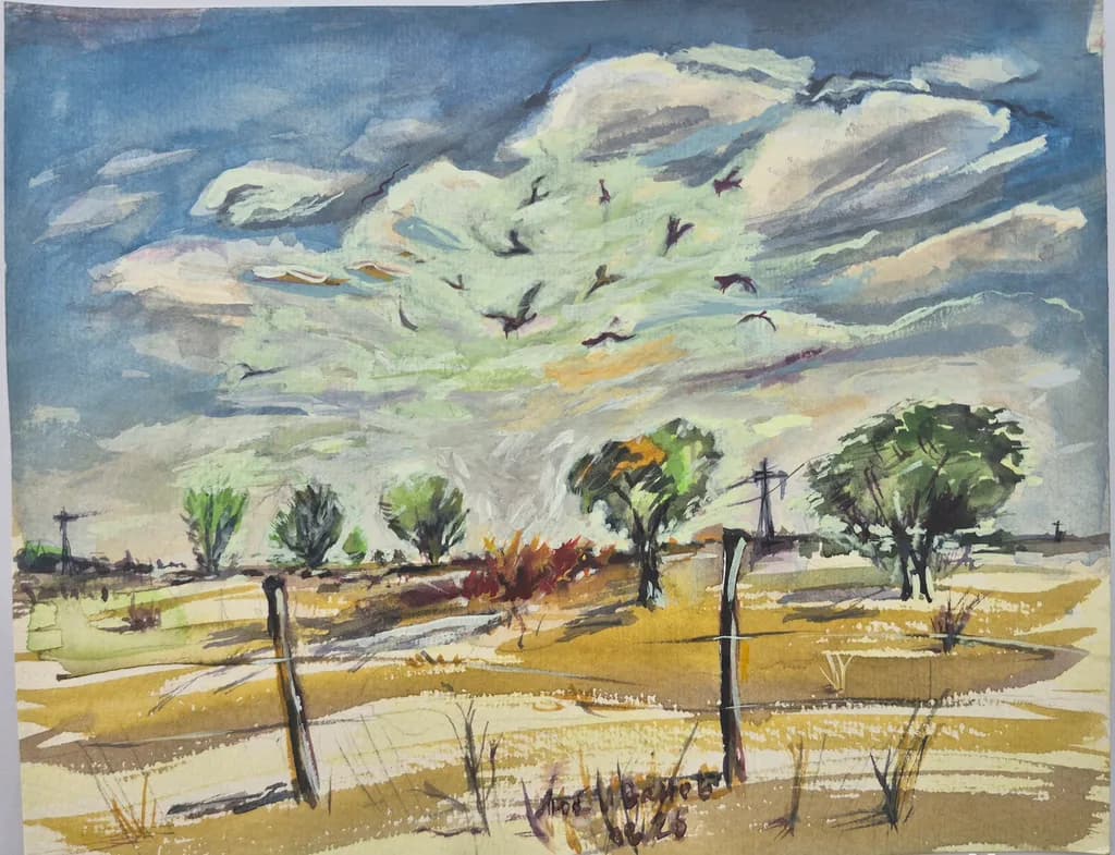 Open Field Sky