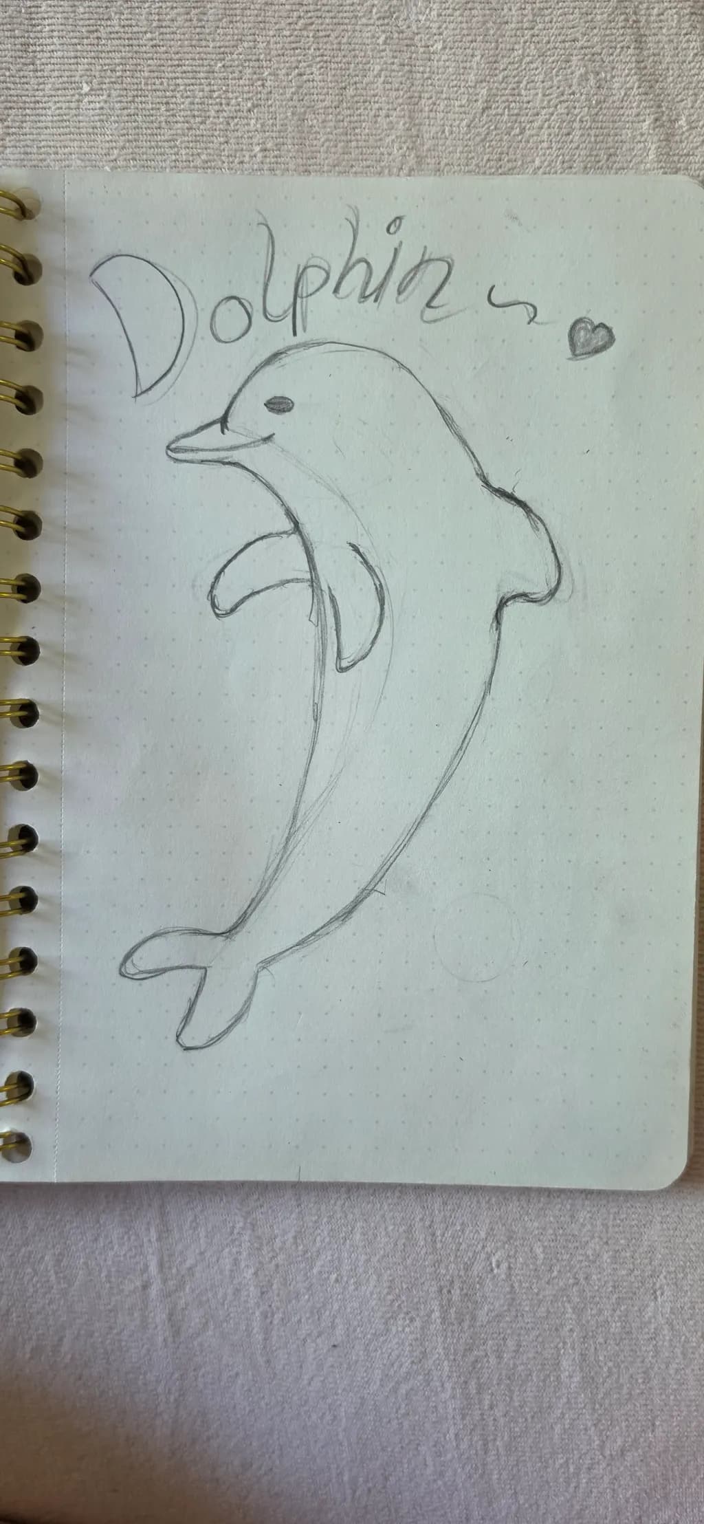 Playful Dolphin Sketch