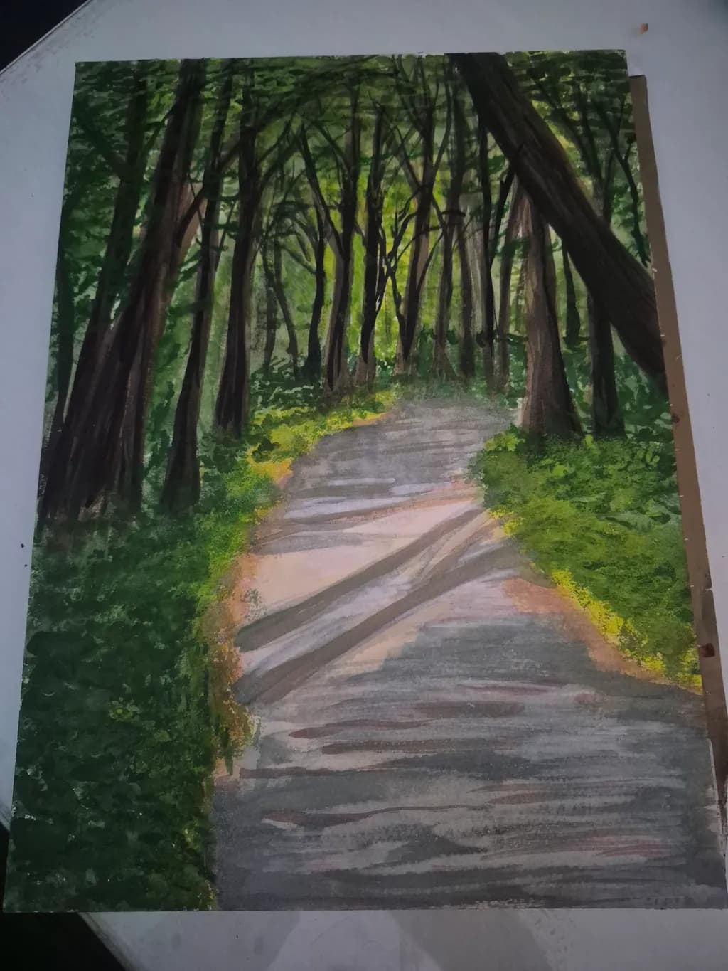 Forest Path