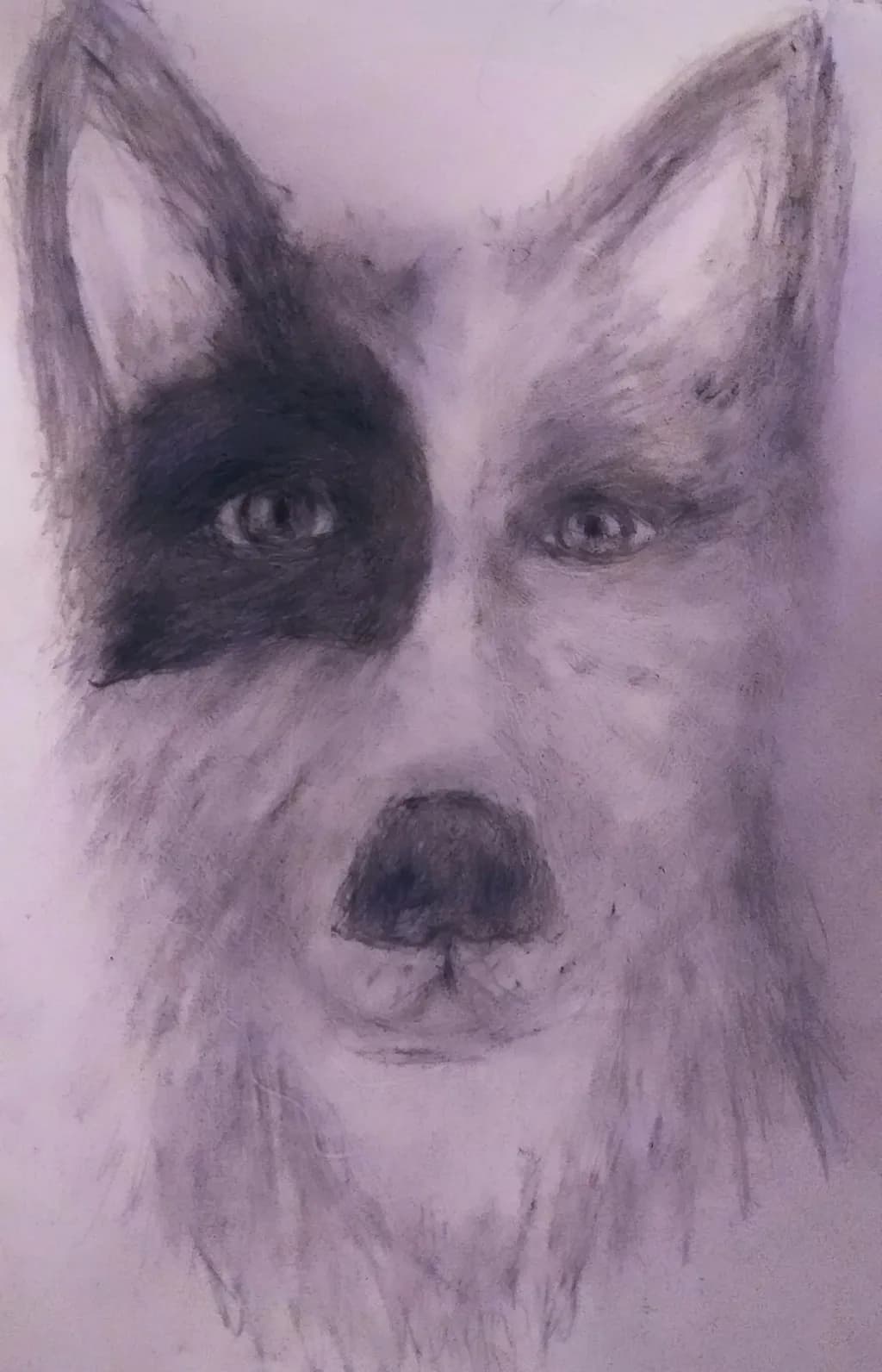 Wolf Portrait