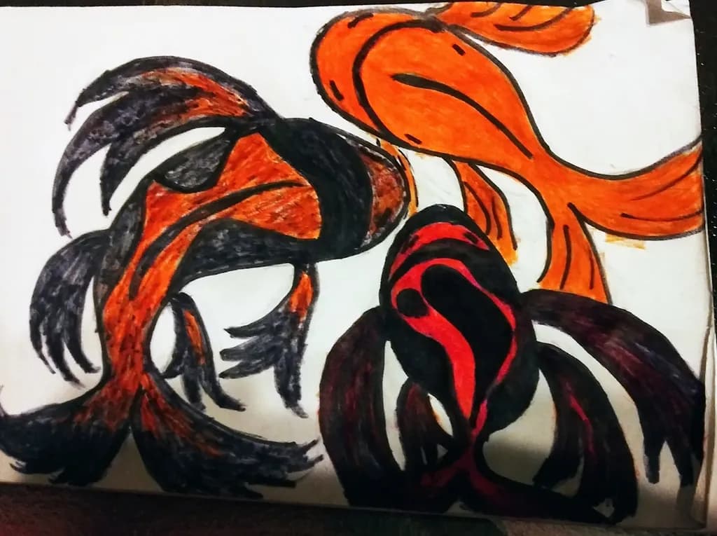 Koi Trio