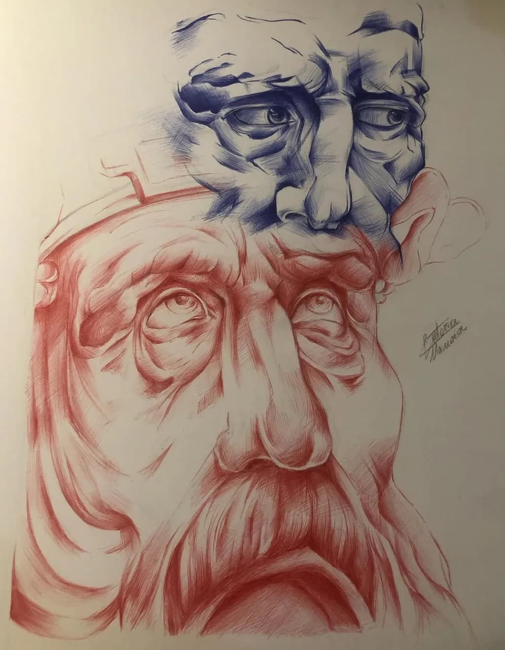 Dual Visage Study