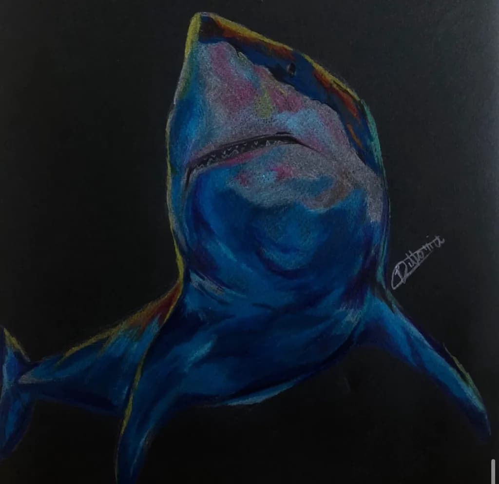 Emerging Shark