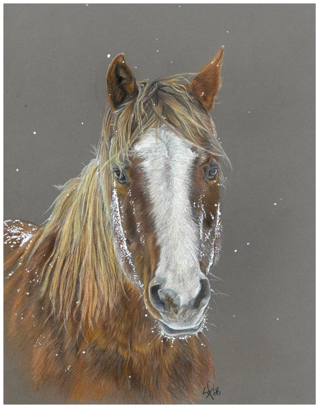 Douce Emma Sous La Neige
