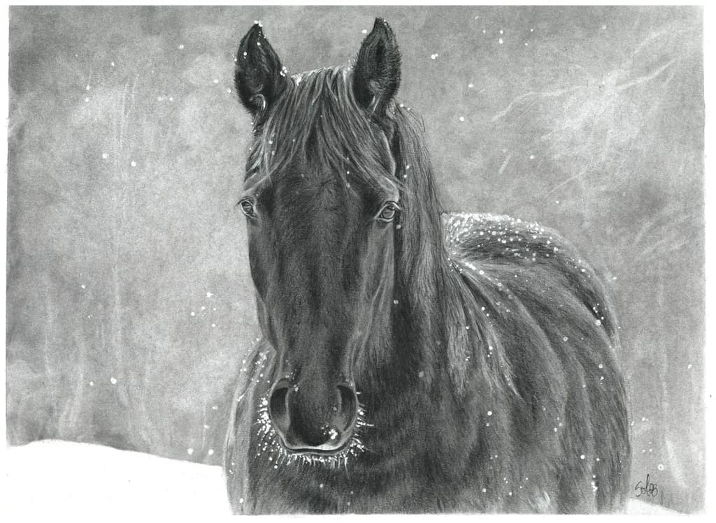 Le beau Heaven Horse