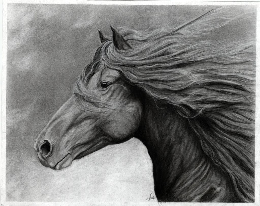 Beau Ténébreux Horse