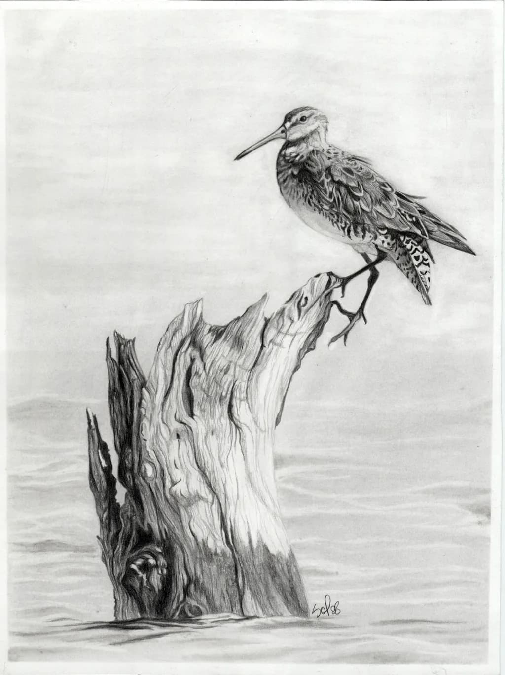Élégance Bird on Wood