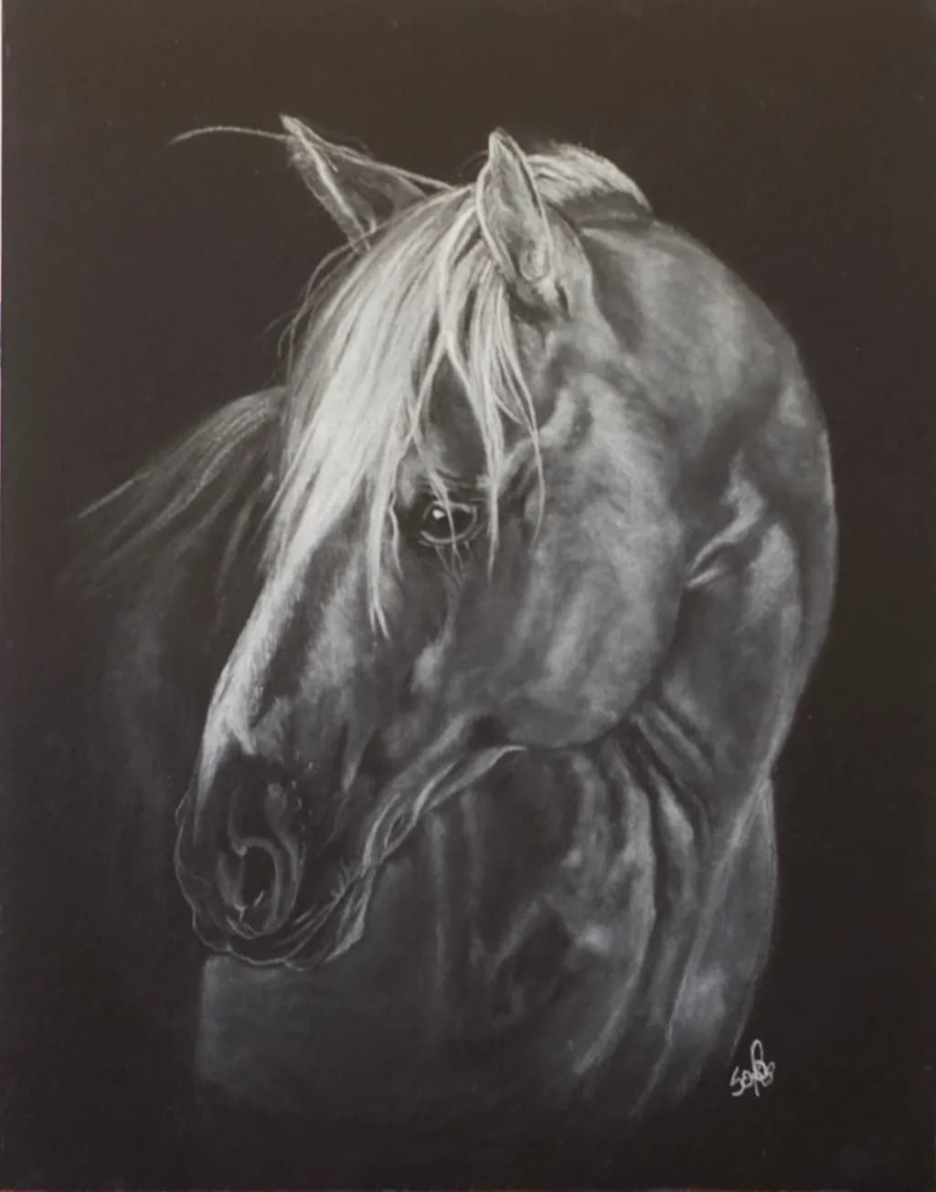 Horse Portrait