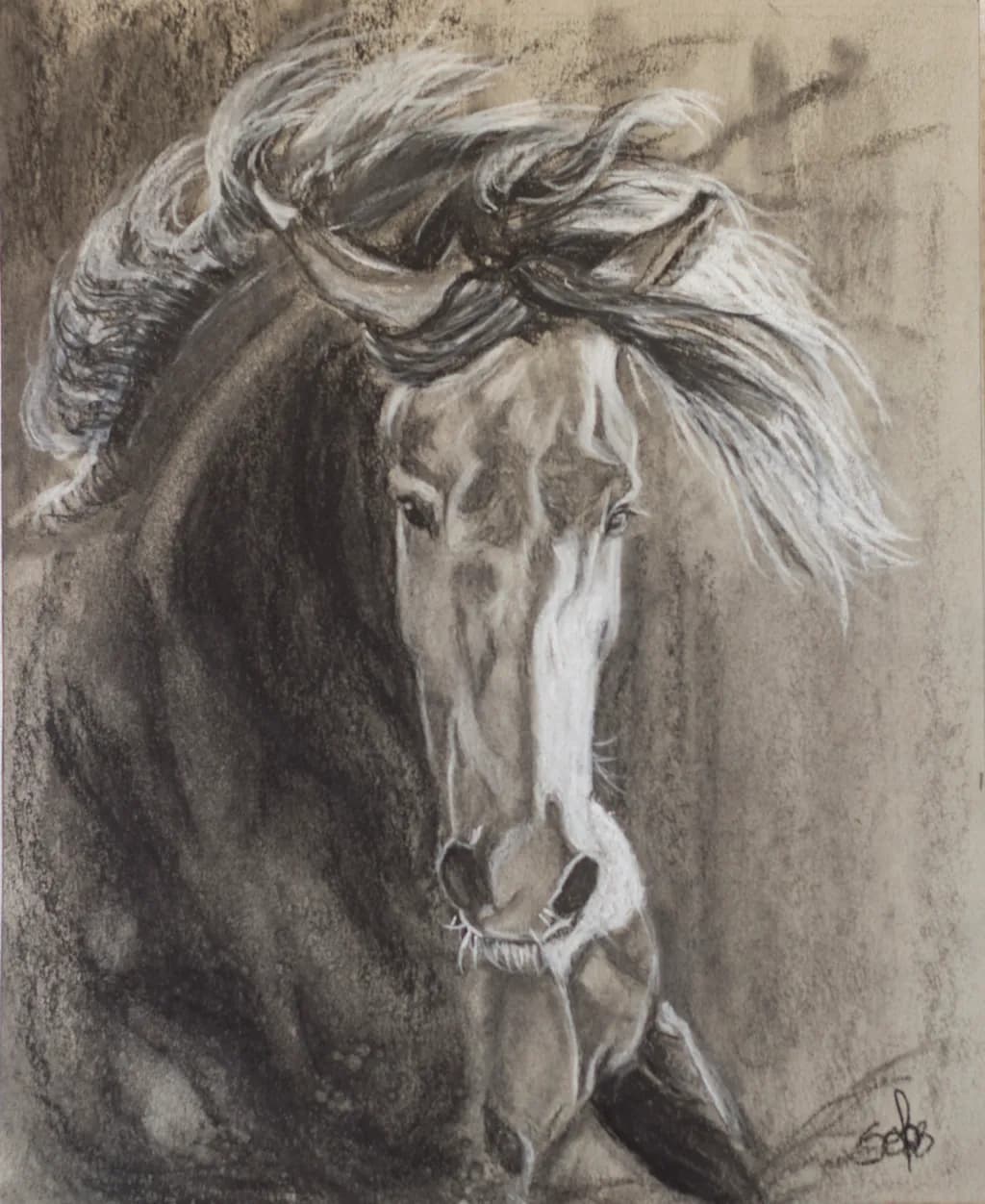 Horse Portrait