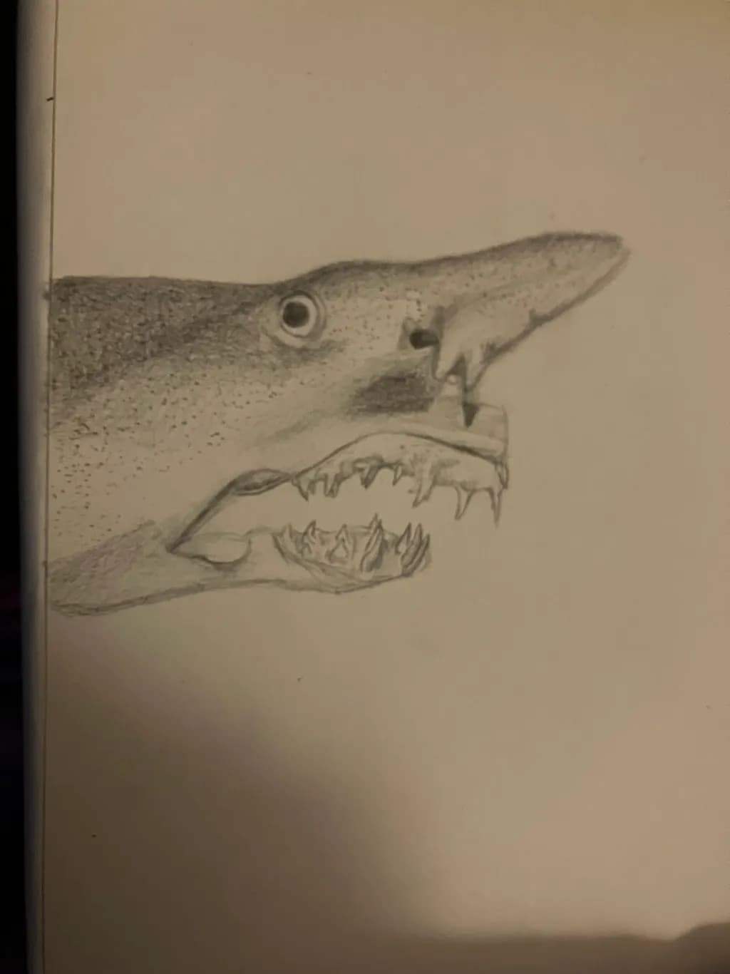Fangtooth Fish Study