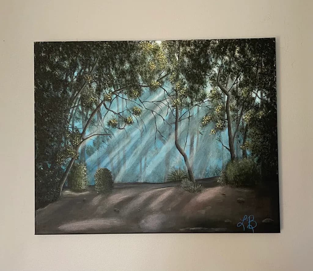 Forest Light Rays