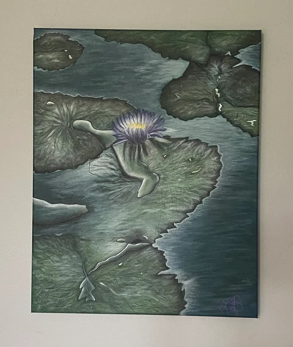 Water Lily and Lilypad