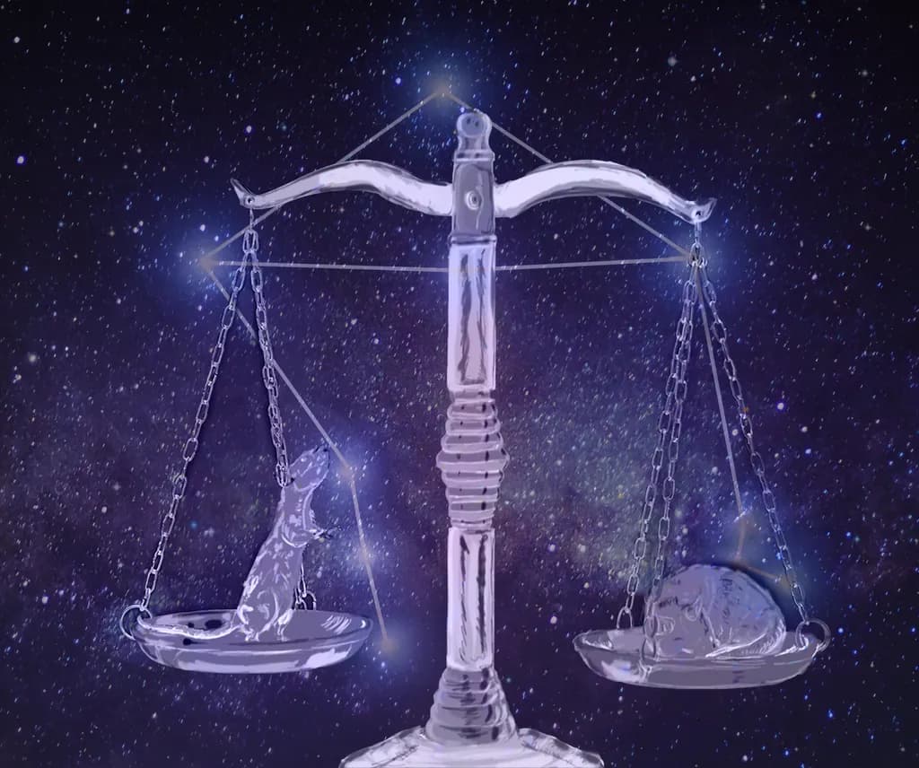 Libra Rat Balance