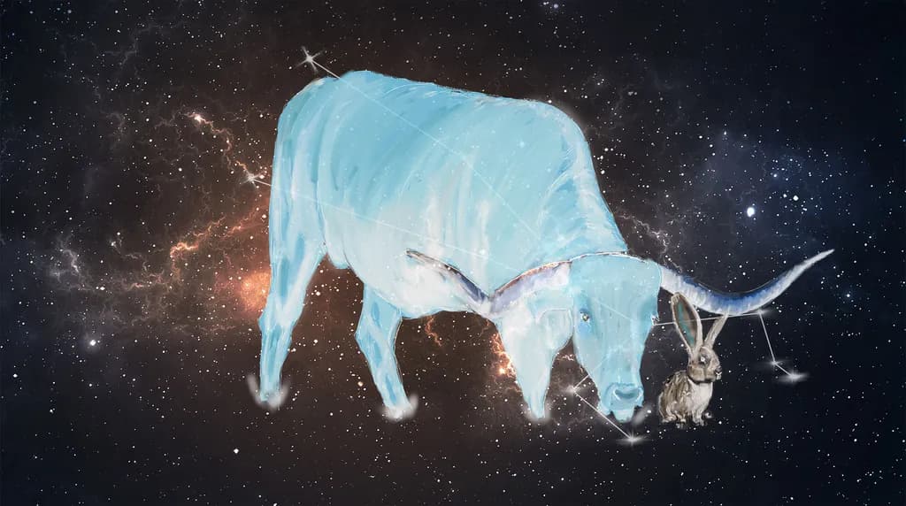 Taurus and Rabbit Constellation