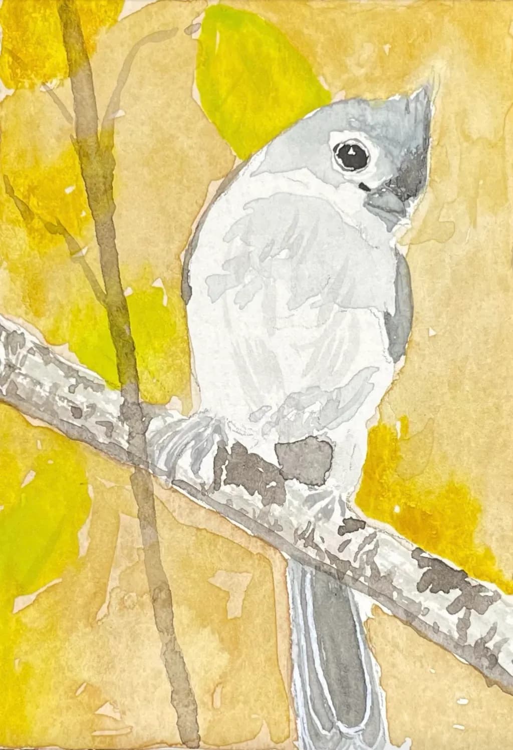 Autumn Bird on Branch