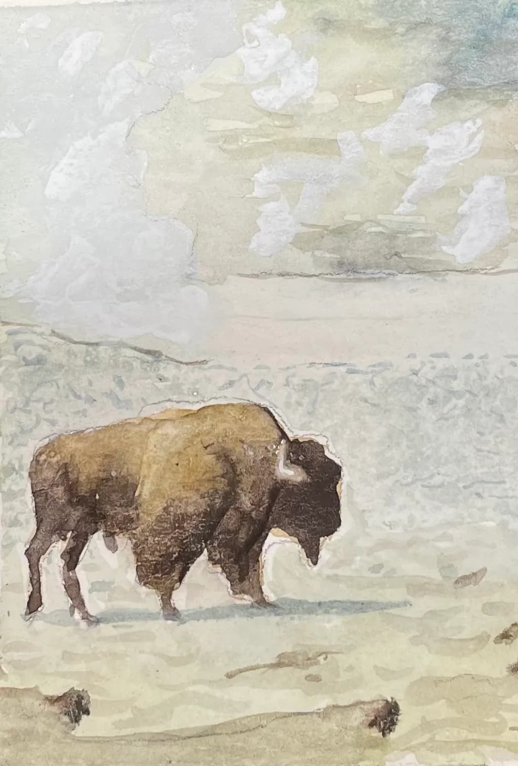 Solitary Buffalo in Snow