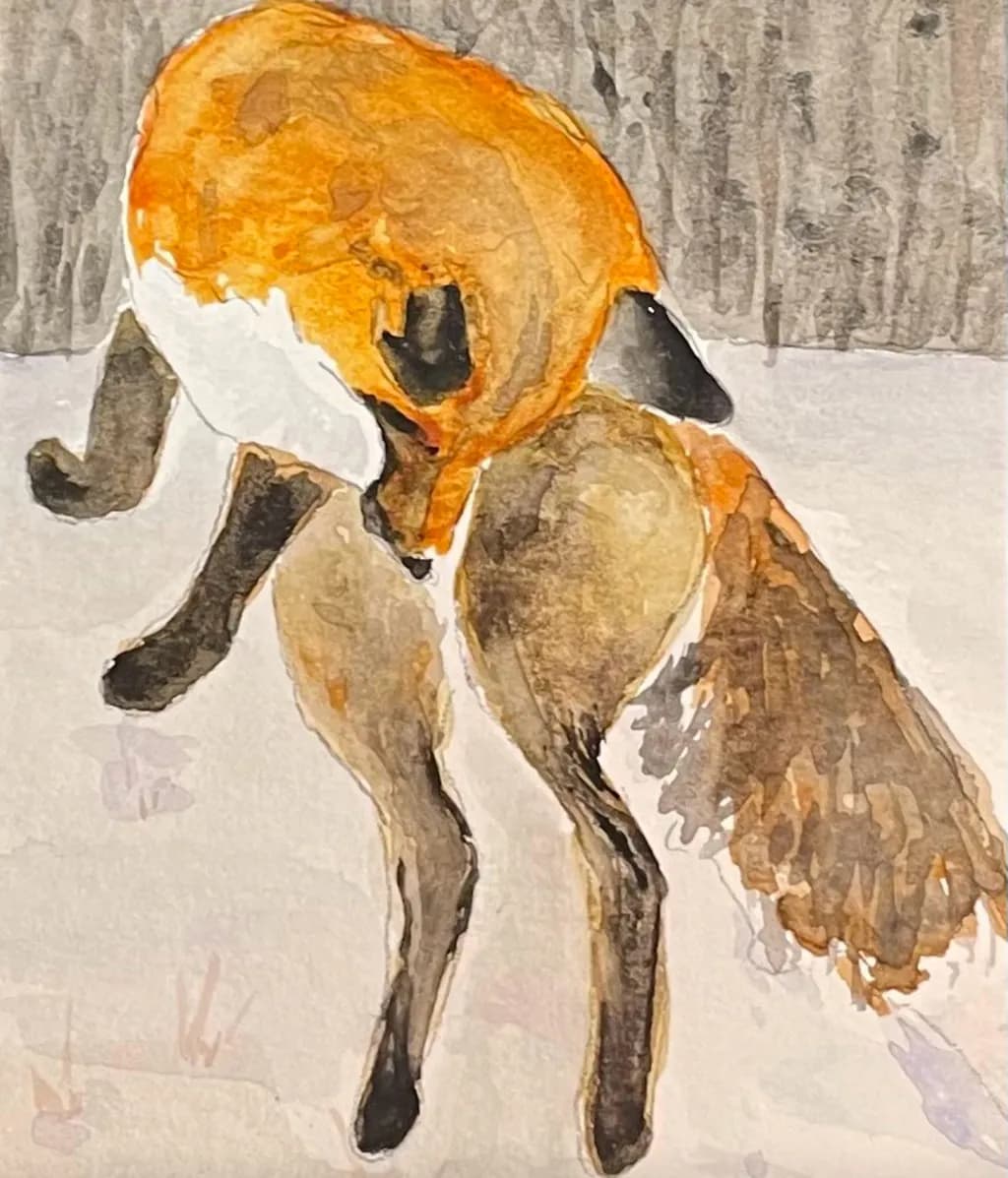 Fox in Snow