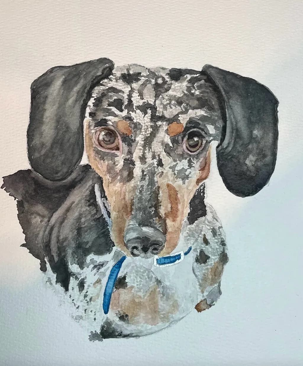 Spotted Dachshund Portrait