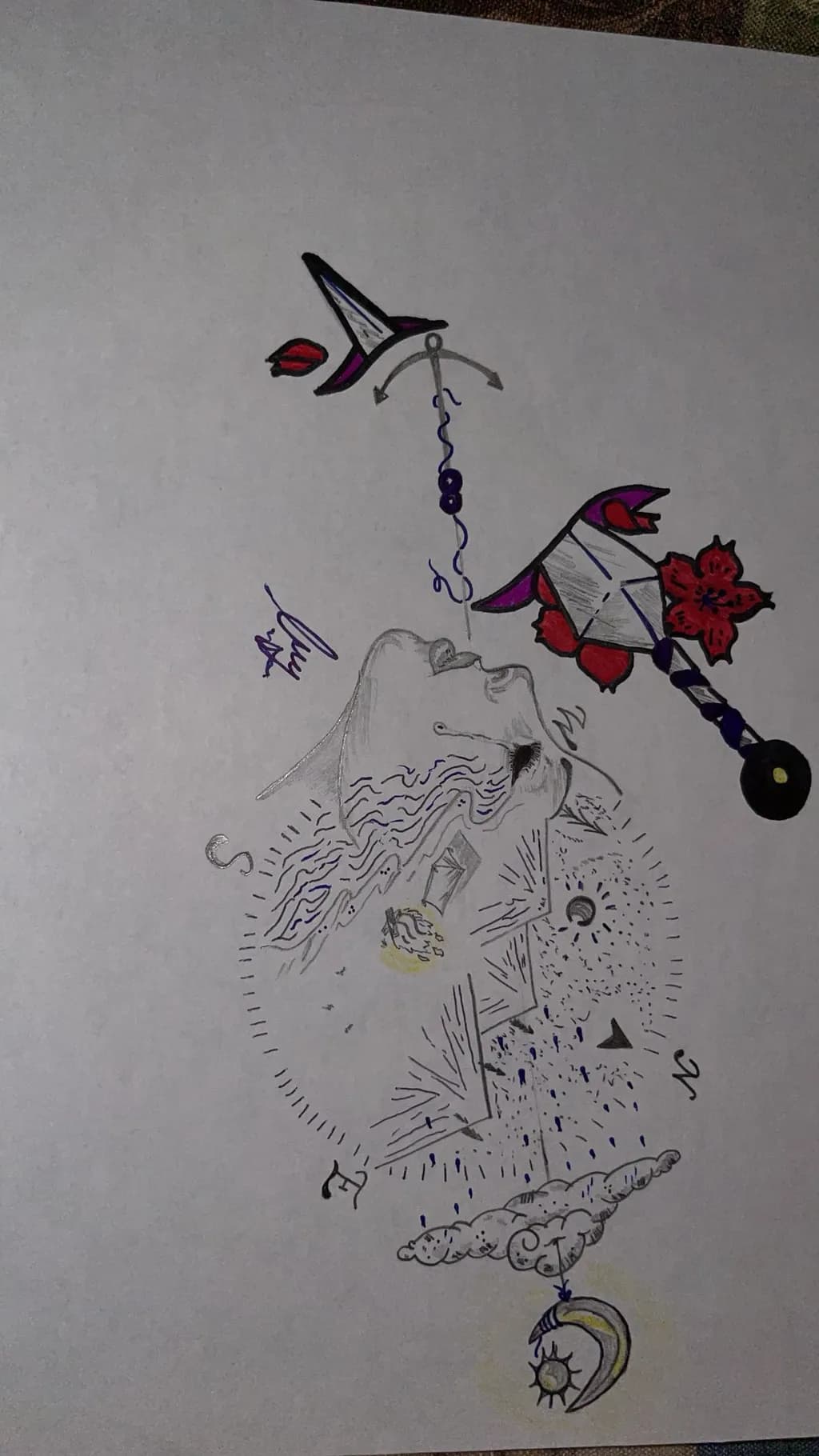 Geometric Flight and Face