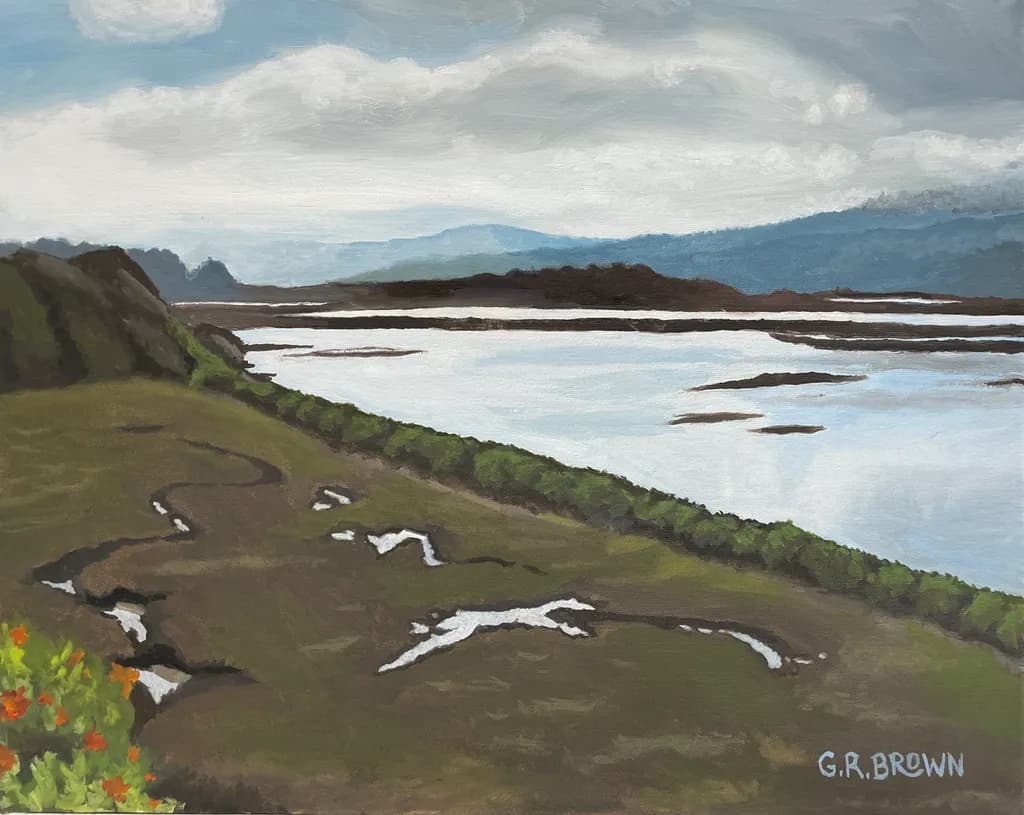 Tomales Bay View