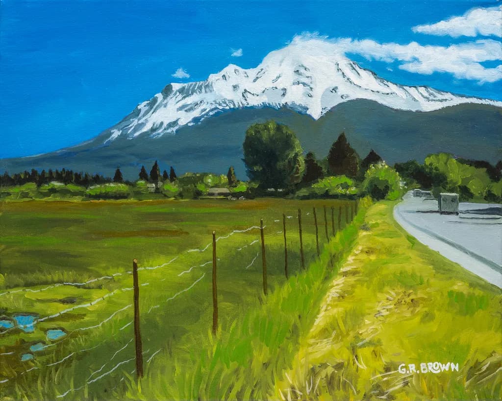 Shasta Mountain View