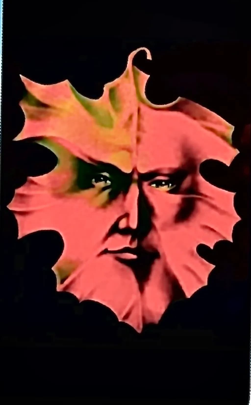 Autumn Leaf Portrait
