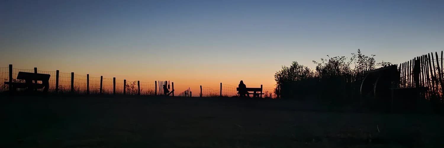 Profilbanner