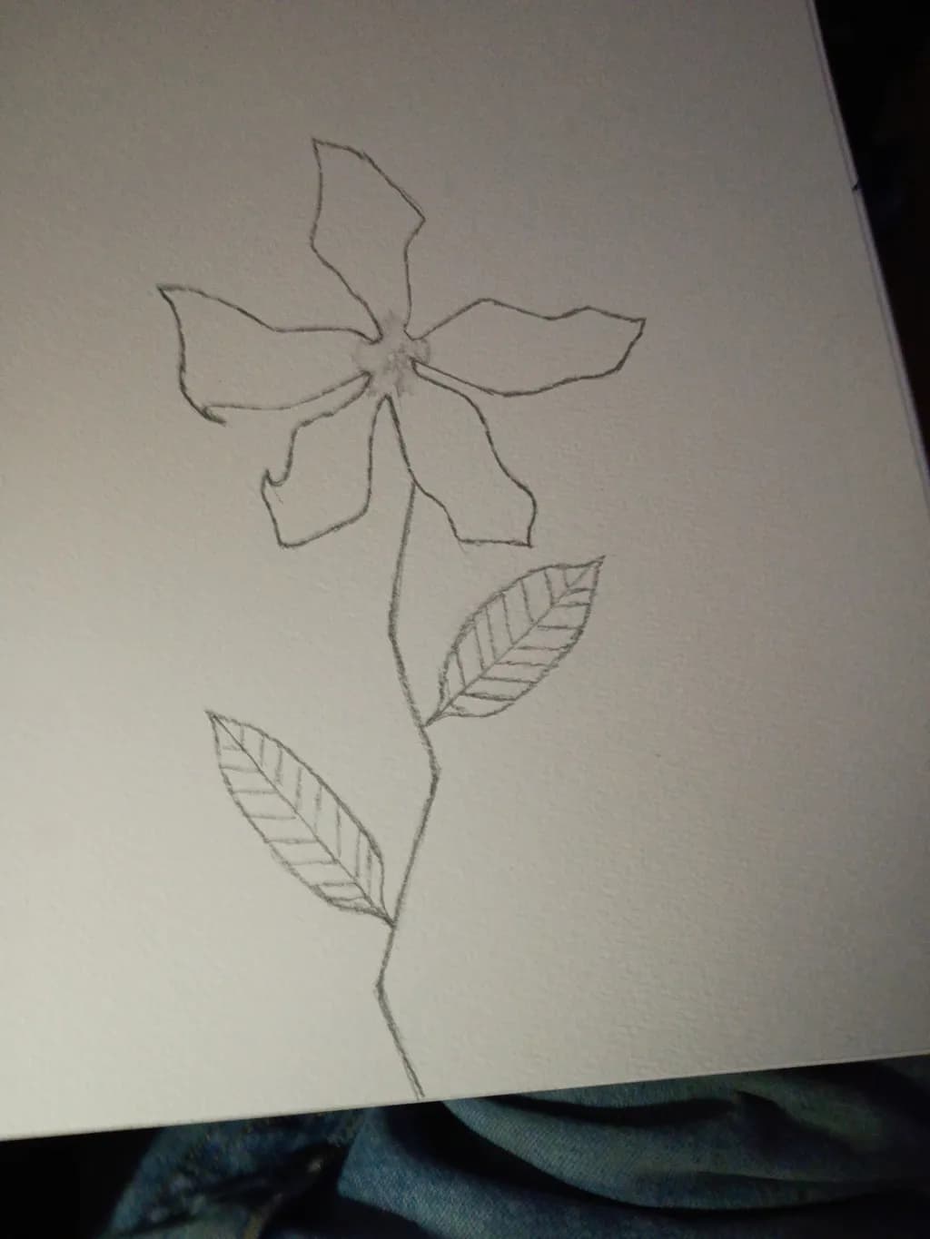 Simple Flower Sketch
