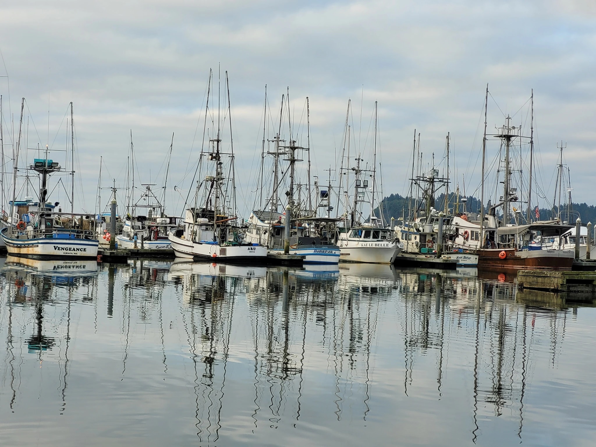 Harbor Reflections Gray 2